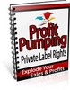 Thumbnail Profit Pumping Private Label Rights Thumbnail Profit Pumping Private Label Rights